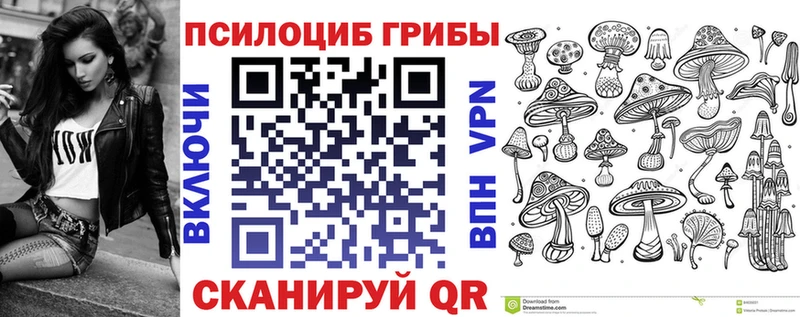 MEGA   Елизаветинская  Псилоцибиновые грибы мицелий 